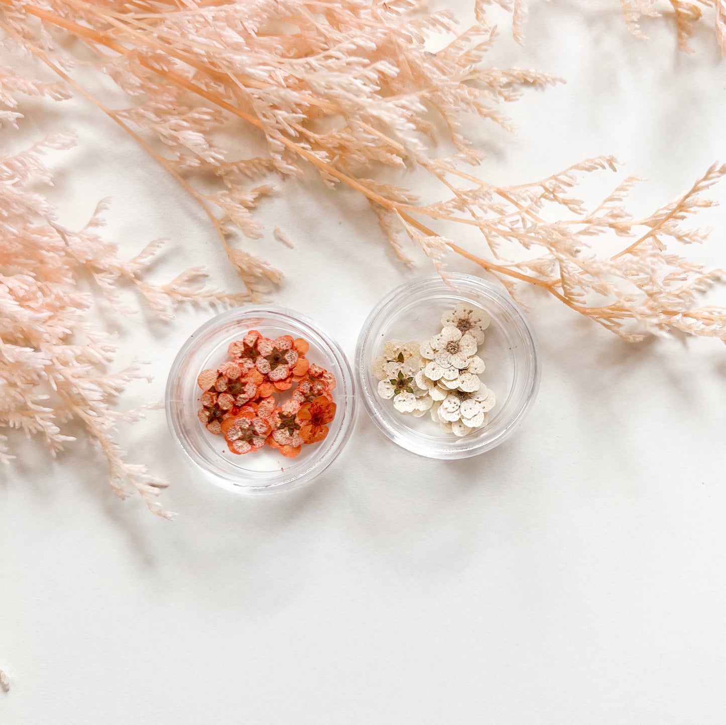 Tiny Pressed Flowers