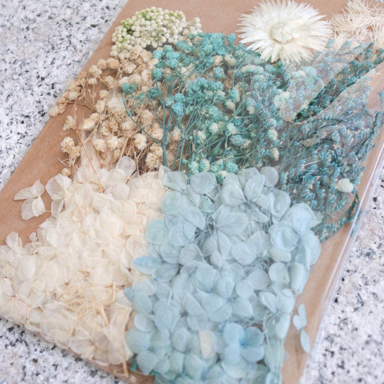 Preserved Floral Medley