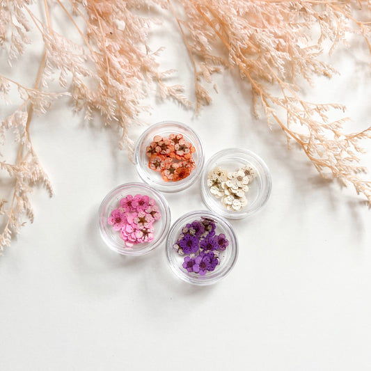Tiny Pressed Flowers
