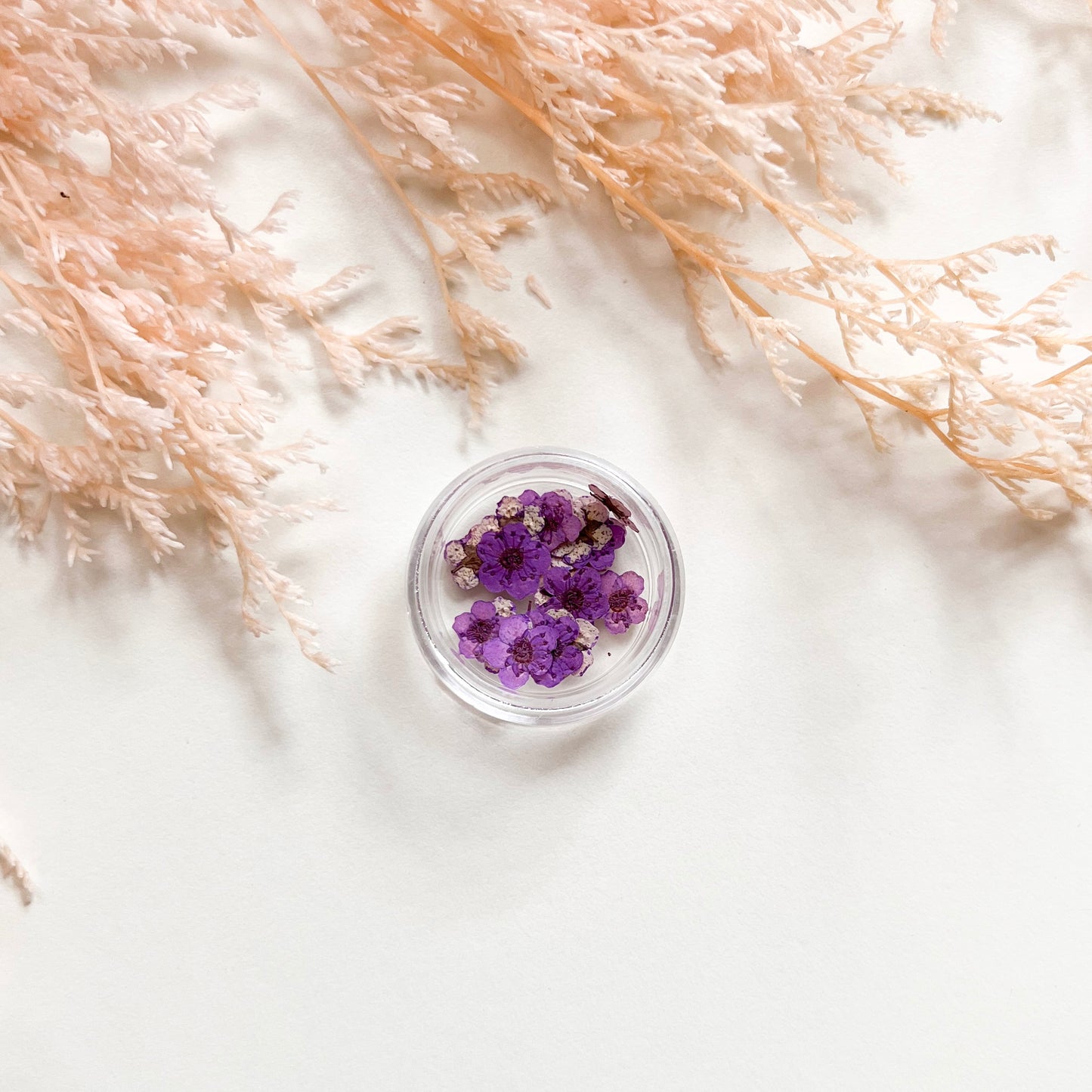 Tiny Pressed Flowers