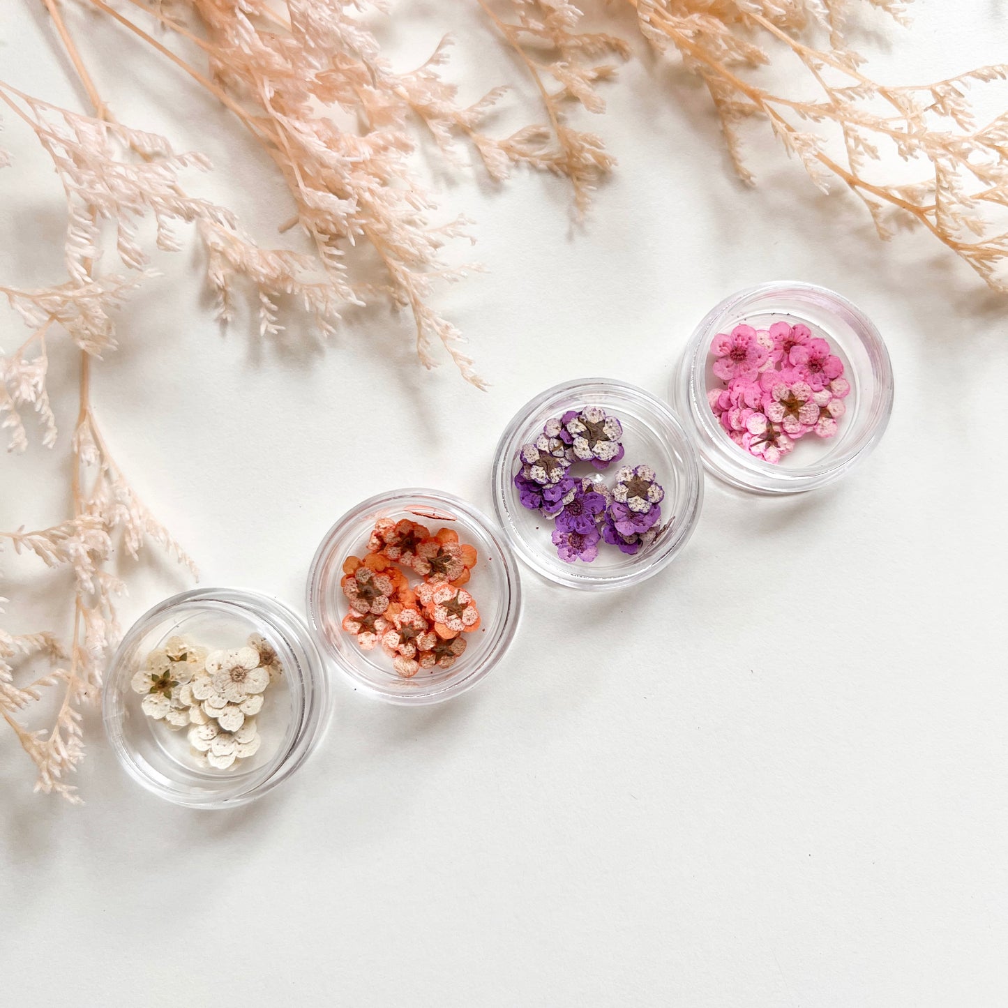 Tiny Pressed Flowers