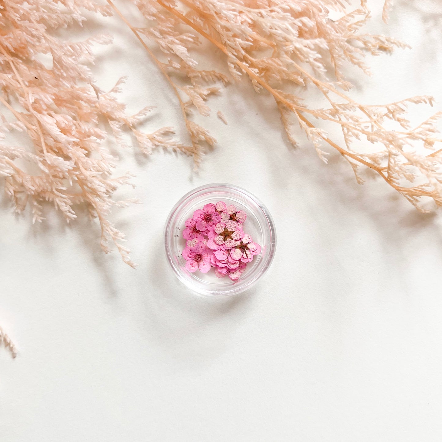 Tiny Pressed Flowers