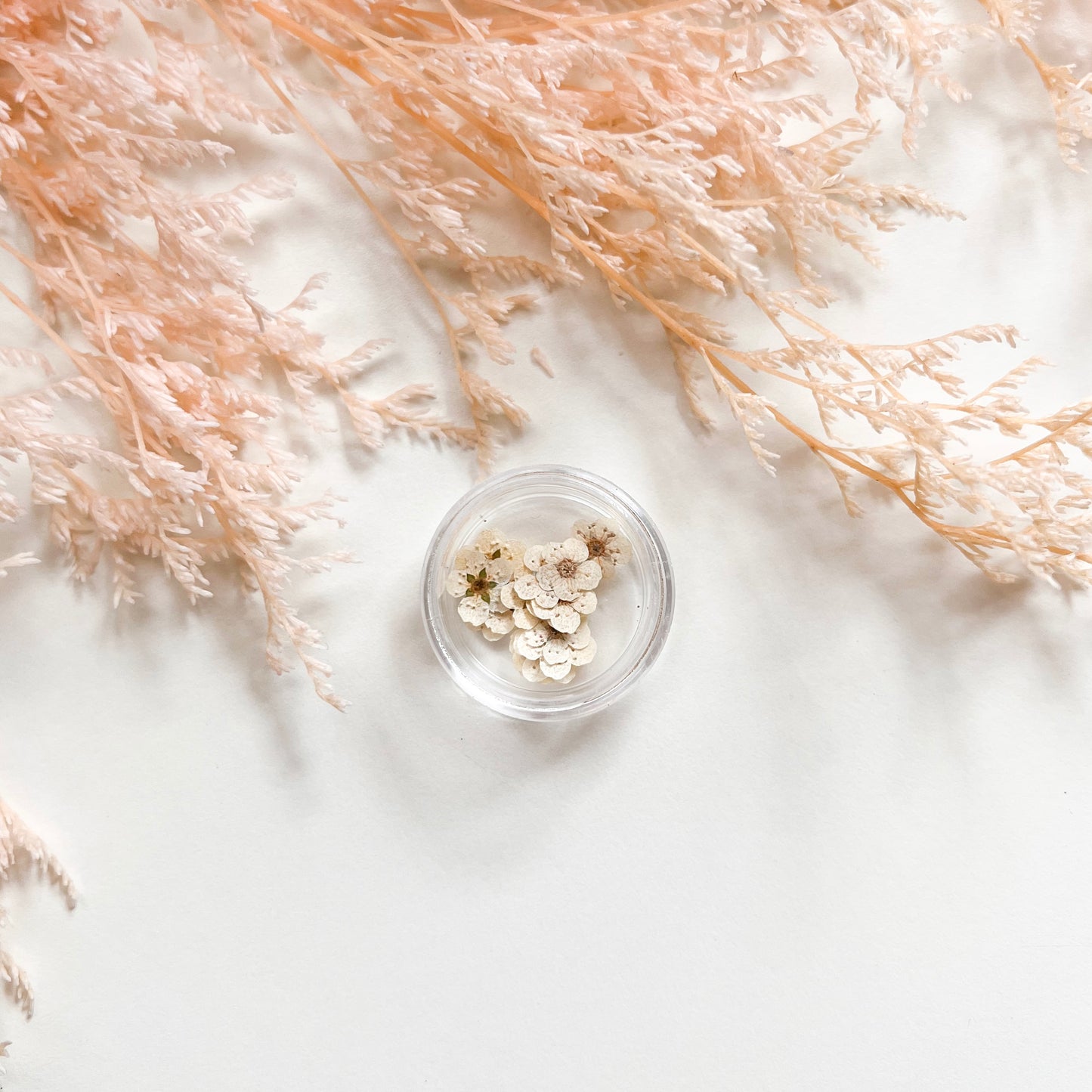 Tiny Pressed Flowers