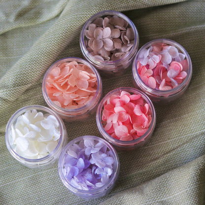 Blossom Pots - Hydrangeas