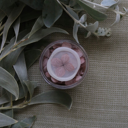 Blossom Pots - Hydrangeas