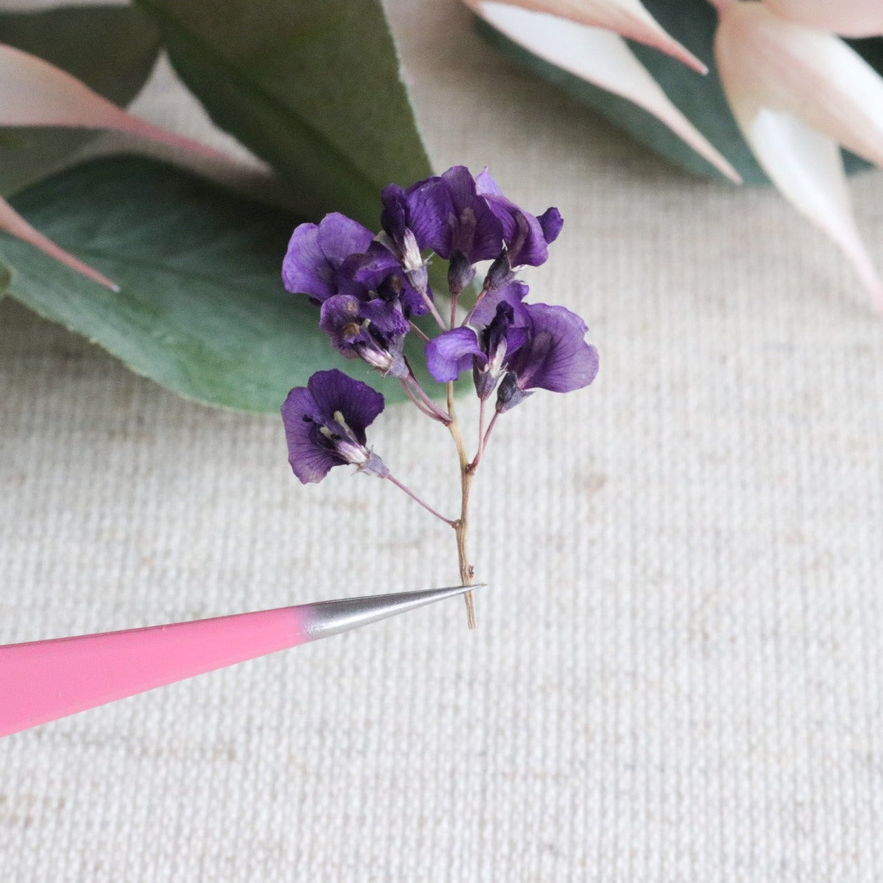 Precision Point Tweezers - Pink
