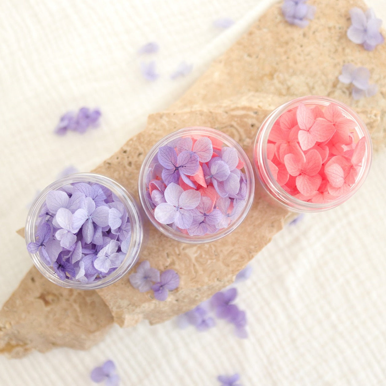 Blossom Pots - Hydrangeas