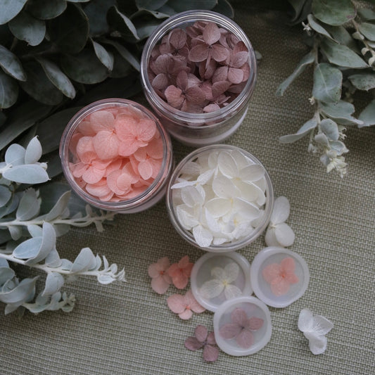 Blossom Pots - Hydrangeas
