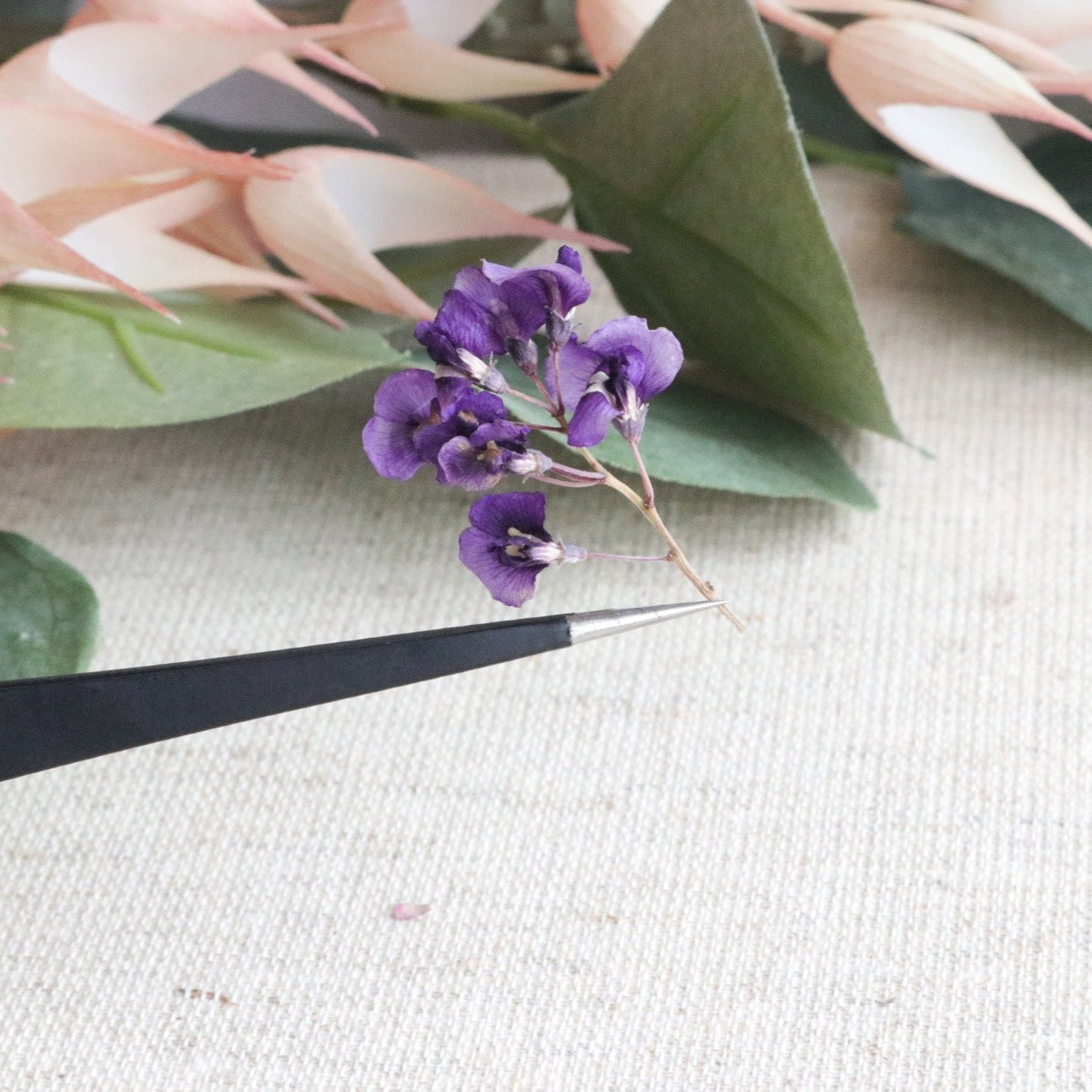 Precision Point Tweezers - Black